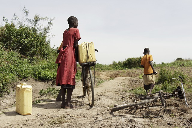 Le Sahel entre vulnérabilité sociale et insécurité