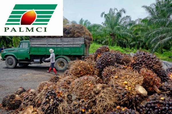 La société Palm Côte d’Ivoire annonce une baisse de 18% de son résultat net au terme de l’exercice 2024.
