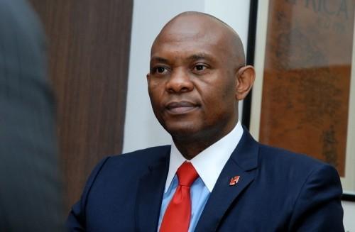 Energie : Elumelu plaide «la Loi Électrifier l’Afrique» devant le congrès