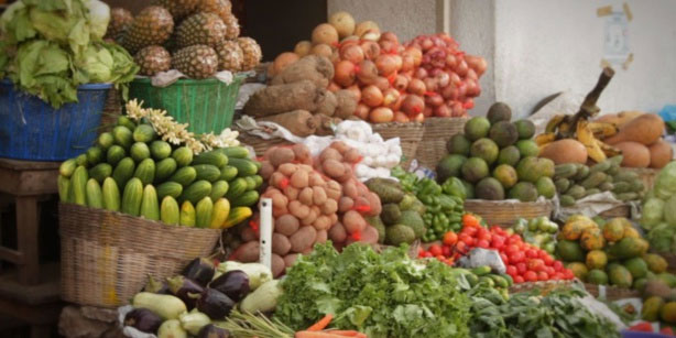 Production agricole et horticole : Le chef de l’Etat demande la mise en place d’une stratégie de commercialisation