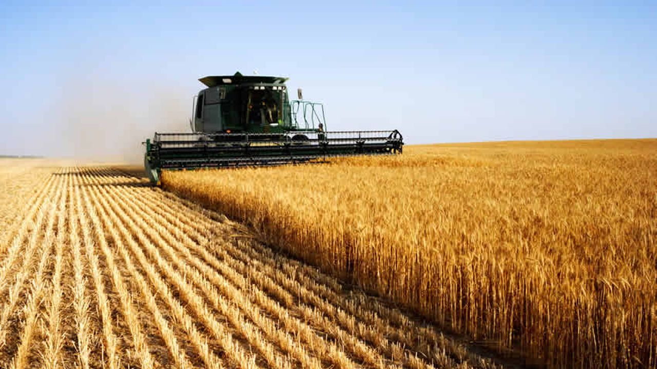 Récépissé d’entrepôt : Passeport vers un marché boursier agricole