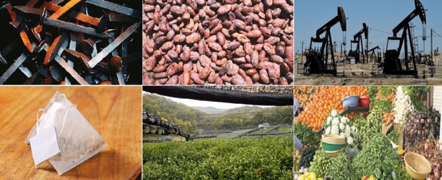 Marché mondial des matières premières : Hausse des prix du pétrole, du riz, du blé et du coton au mois de juin Marché mondial des matières premières : Hausse des prix du pétrole, du riz, du blé et du coton au mois de juin