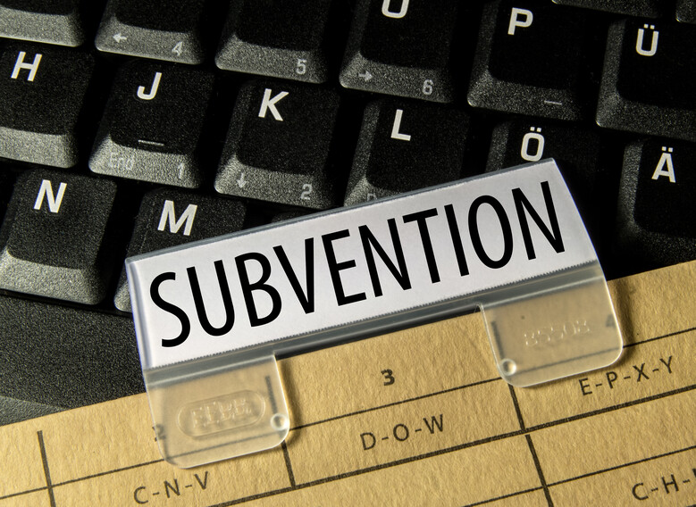 POLITIQUE DES SUBVENTIONS : Une problématique bien plus complexe