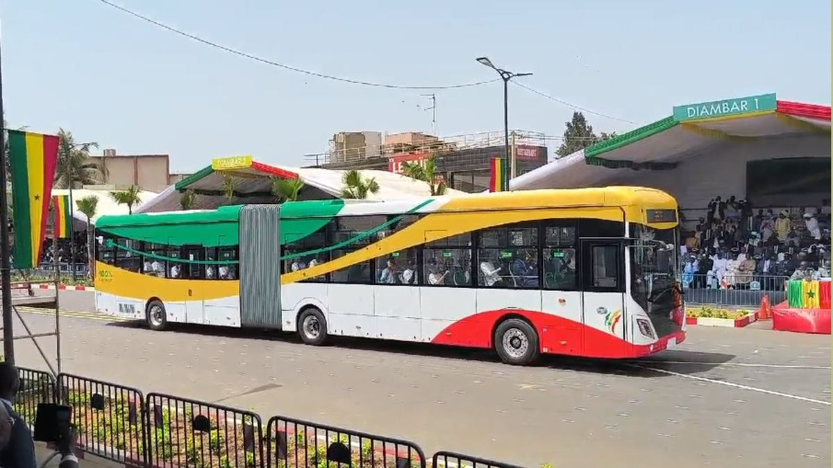 Sénégal : Baisse de chiffre d’affaires dans les services, forte hausse dans le commerce en juin 2025