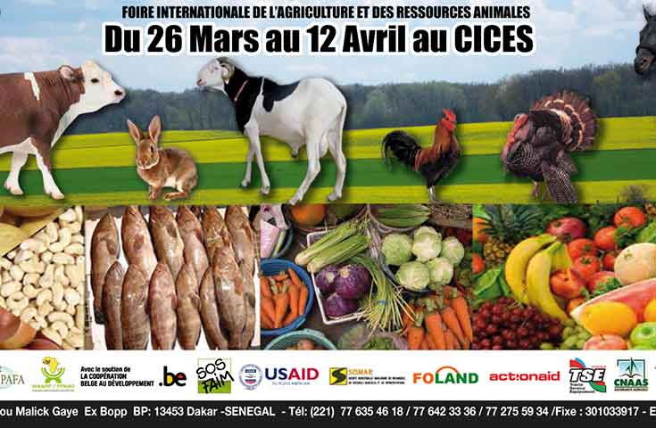 FIARA : L’ASEPEX répond au rendez-vous FIARA : L’ASEPEX répond au rendez-vous