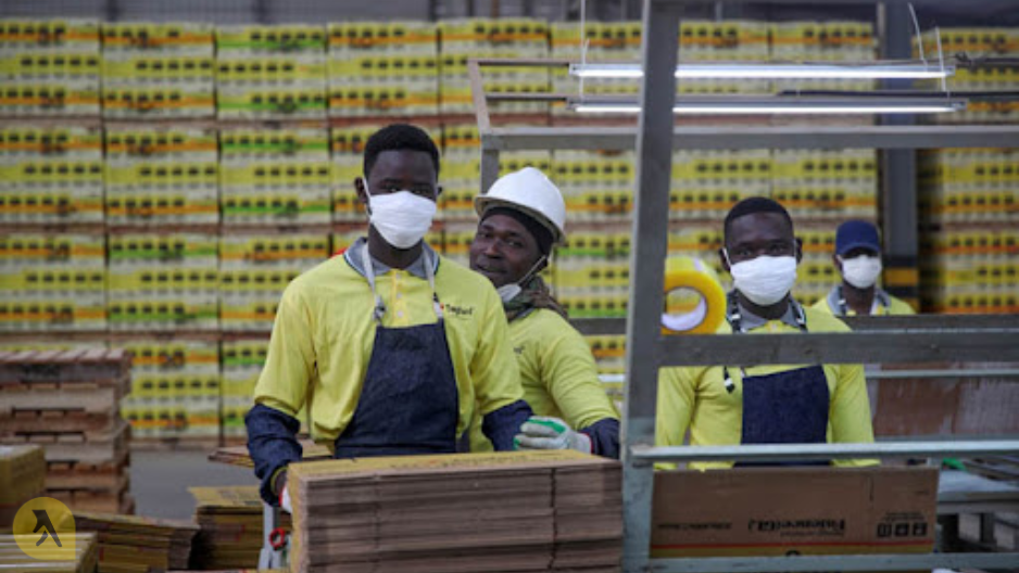 Secteur moderne hors administration publique : L’Ansd note une augmentation de 1,9% au troisième trimestre 2025