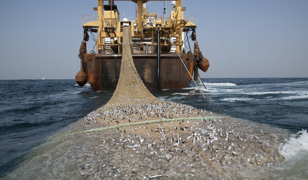Pêche illégale : Un accord novateur parrainé par la FAO en gestation
