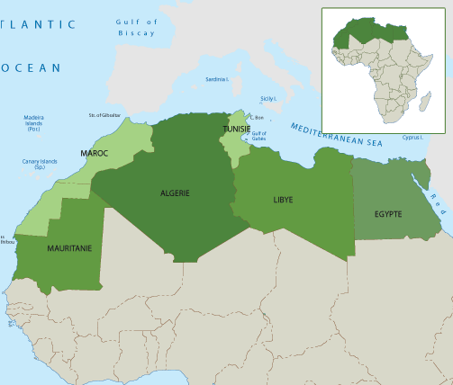 Croissance : Fortune diverse pour les pays magrébins