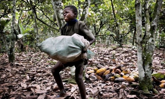 Lutte contre le travail des enfants : L’OMCC construit une école primaire en Côte d’Ivoire