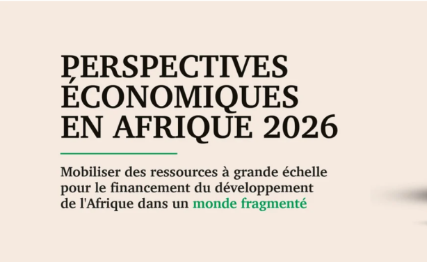 PERSPECTIVES ECONOMIQUES EN AFRIQUE 2026 : La fragmentation en opportunités