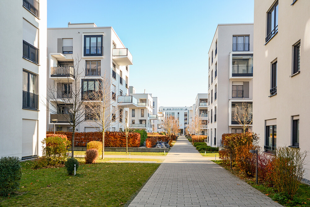 Services : Forte progression des activités spécialisées et immobilières au quatrième trimestre 2025