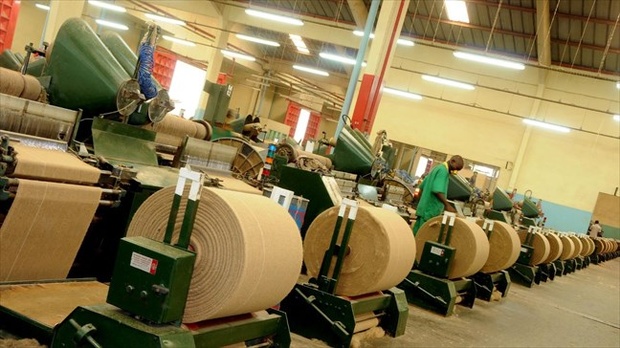 La société Filtisac S.A réduit de 14% son résultat net déficitaire au premier trimestre 2026.