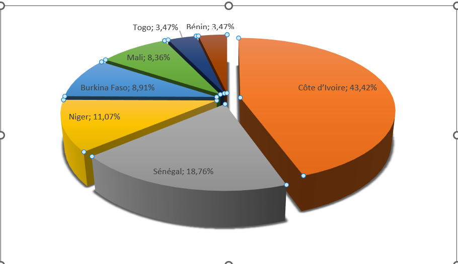 Répartition des opérations du marché primaire par adjudication selon les pays émetteurs en 2025 (%)
