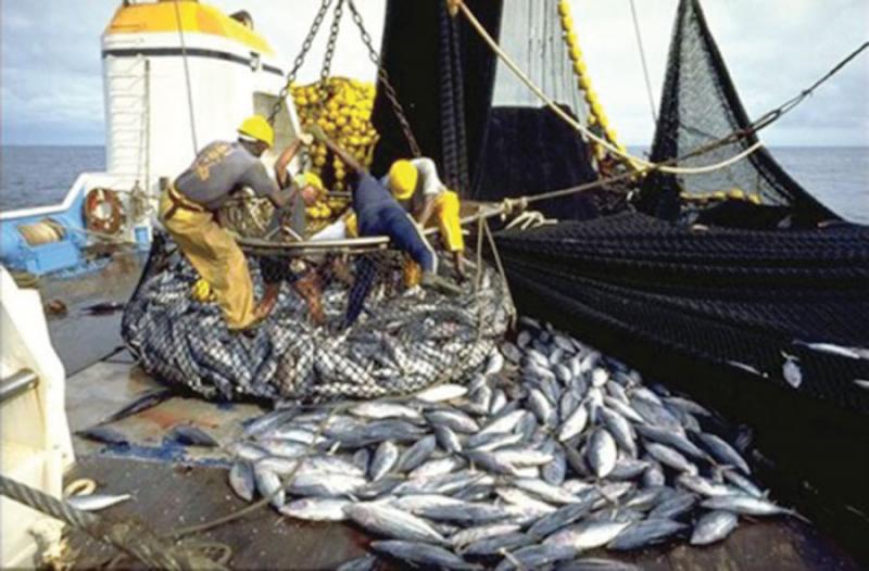 Pêche : Hausse de 15.824 tonnes  des débarquements  à fin avril 2016 au Sénégal