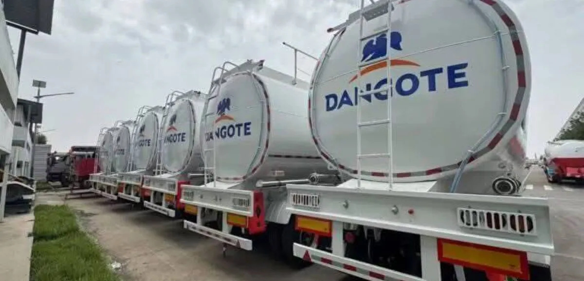 IPO DANGOTE : Les limites d’une intégration financière