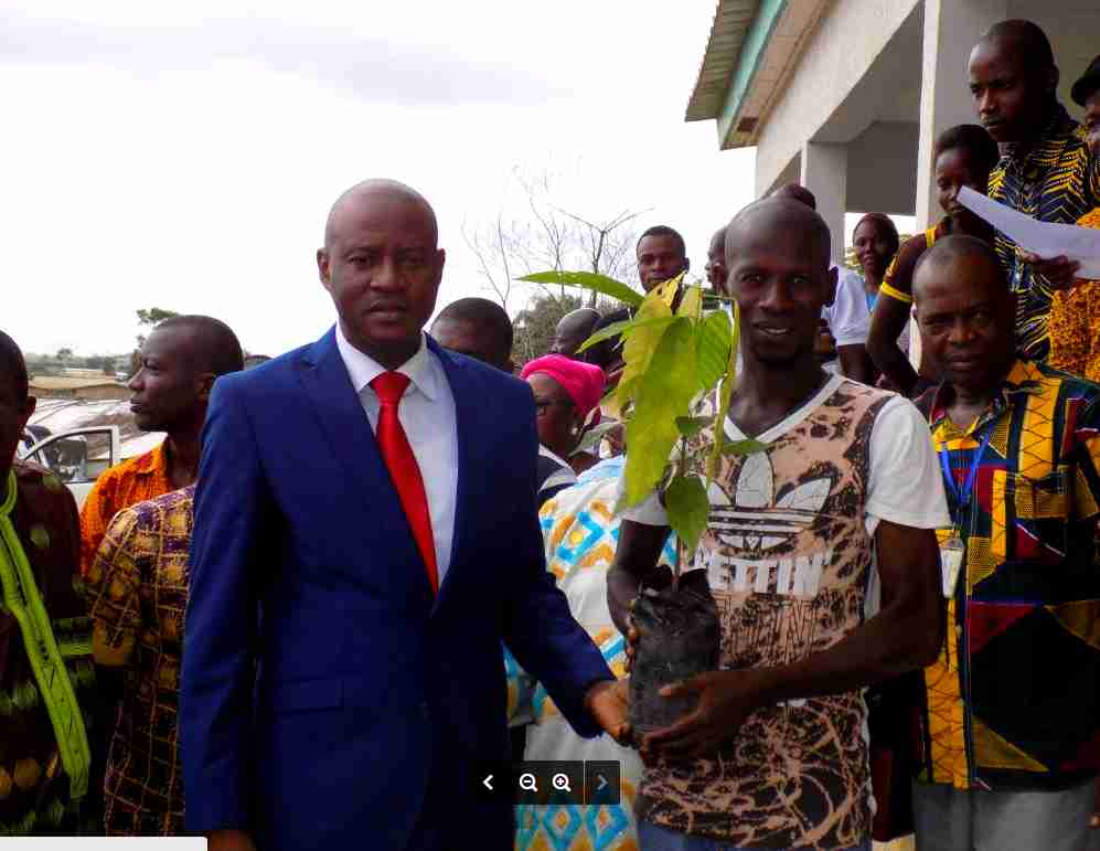 APPUI : L’OMCC et l’ANOPACI distribuent des intrants aux cultivateurs de Cacao ivoiriens