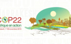 Environnement : COP22, COP africaine