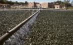 Pénurie d'eau : La FAO suggère une bonne utilisation des eaux usées en agriculture