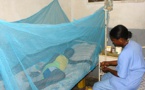 Paludisme : Des leaders mondiaux mettent en place un Conseil pour lutter contre le fléau