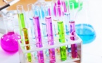 Think-Tanks: CODESRIA meilleur laboratoire d'idées en Afrique!