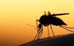 Lutte contre le paludisme :Des leaders africains salués pour leur action