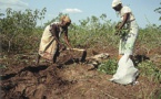Agriculture : L’IPAR lance un rapport sur l’état des droits et des ressources Agriculture : L’IPAR lance un rapport sur l’état des droits et des ressources