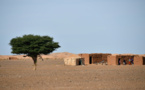 Pénuries d'eau en Afrique du Nord et au Moyen-Orient : La FAO tire sur la sonnette d’alarme