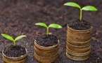 Economie africaine : La CEA voit en l’industrialisation verte une opportunité