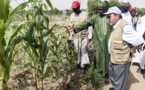 Bassin du lac Tchad : La FAO préconise des investissements dans l'agriculture 