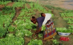 Sénégal : La microfinance est un moyen de valorisation sociale