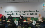 FINANCEMENT DE L’AGRICULTURE :  Les banques commerciales manquent toujours à l’appel selon Macky Sall
