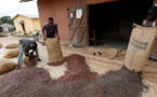 Cacao : la conjoncture met le Ghana et la Côte d'Ivoire sous pression