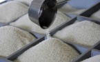 RIZ: Le département américain de l’agriculture table sur 3166,7 millions de tonnes