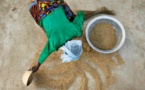 Sénégal : l’insécurité alimentaire menace six départements