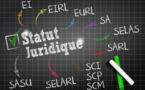 Recensement des entreprises : 82% sont des entreprises individuelles