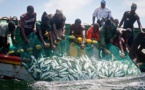 EXPORTATION AU SENEGAL : La pêche garde le peloton de tête en 2017 EXPORTATION AU SENEGAL : La pêche garde le peloton de tête en 2017