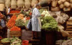 Les villes et politiques locales sont essentielles pour mettre un terme au gaspillage alimentaire, selon la FAO