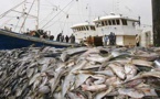 GESTION DURABLE DES RESSOURCES HALIEUTIQUES :  Le Directeur des pêches maritimes dénoncent la surpêche