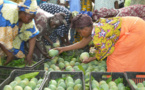 De plus en plus populaires, les fruits tropicaux représentent une opportunité pour les pays en développement (FAO)