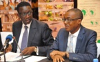 Financement du Plan Sénégal émergent : La Bad a déjà mobilisé 474 milliards de F Cfa