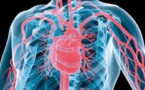 SANTE EN AFRIQUE : Les maladies cardiovasculaires deviendront bientôt la première cause de mortalité