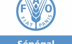 PROMOTION DE L’EMPLOI RURAL DECENT : La Fao remet 3000 guides aux acteurs intervenant dans le secteur