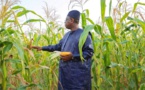 SIA : LES RÉSULTATS DE L’AGRICULTURE SÉNÉGALAISE MAGNIFIÉS