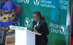 Afrique : « faisons nos échanges commerciaux sur le continent et ensemble » (CEA)