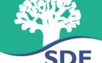 Sénégal: La grosse pagaille de la Sénégalaise des Eaux (SDE) Sénégal: La grosse pagaille de la Sénégalaise des Eaux (SDE)