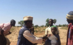 Près d'un milliard de personnes en Afrique seront protégées contre la fièvre jaune d'ici 2026 (OMS)