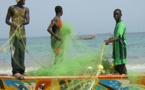 La pêche artisanale reste ‘’un filet de sécurité et de stabilité sociales’’
