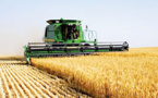 Blé tendre français : 1014,4 Millions de tonnes pour la campagne 2018 Blé tendre français : 1014,4 Millions de tonnes pour la campagne 2018