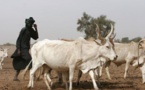 Sénégal : Regain de l’activité économique interne en Mars