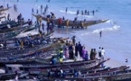 Vers la création du comité national consultatif de suivi des directives volontaires pour une pêche durable